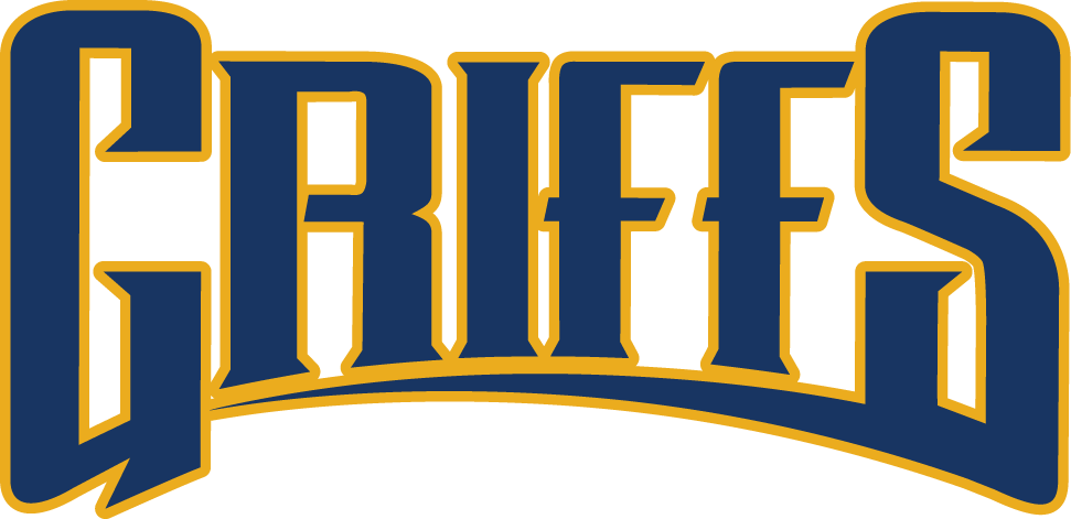 Canisius Golden Griffins 2006-Pres Wordmark Logo v2 diy DTF decal sticker